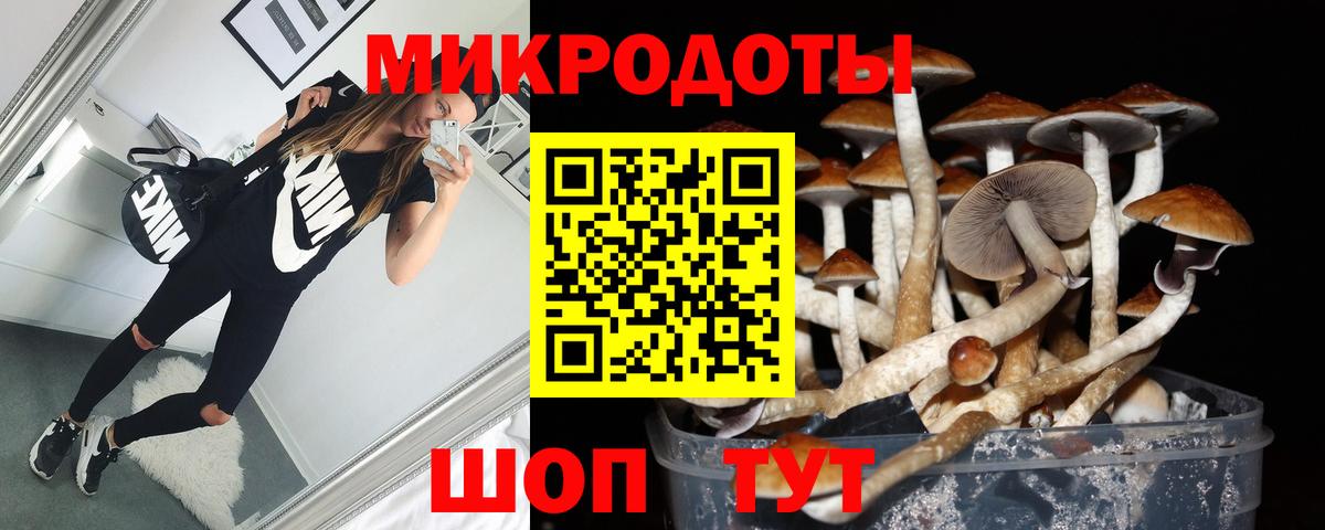 Галлюциногенные грибы Psilocybe Городец