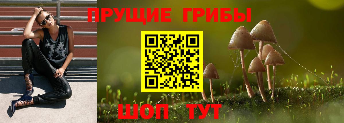 Городец  Галлюциногенные грибы прущие грибы  Вход с VPN 